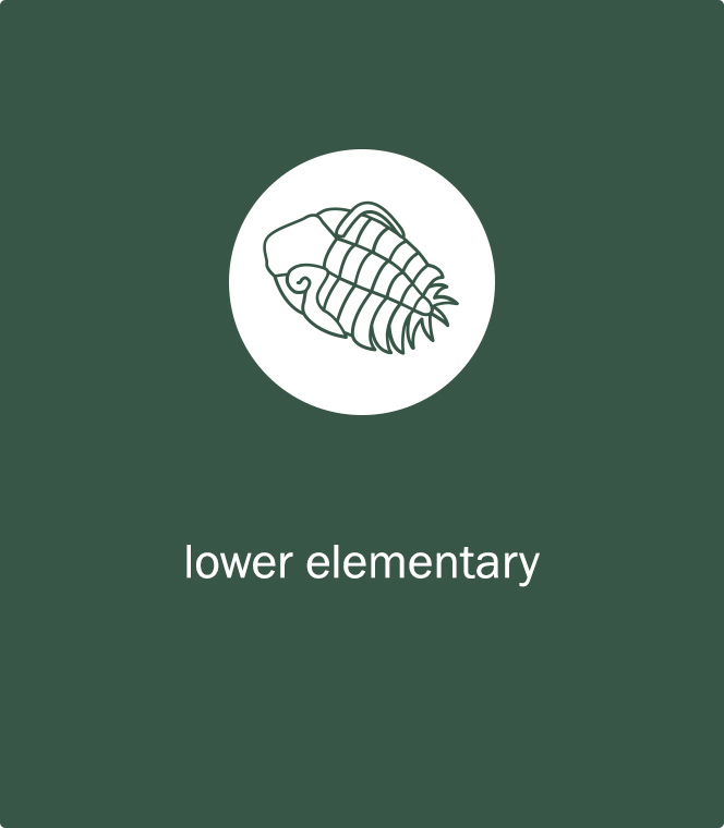 Montessori Lower Elementary